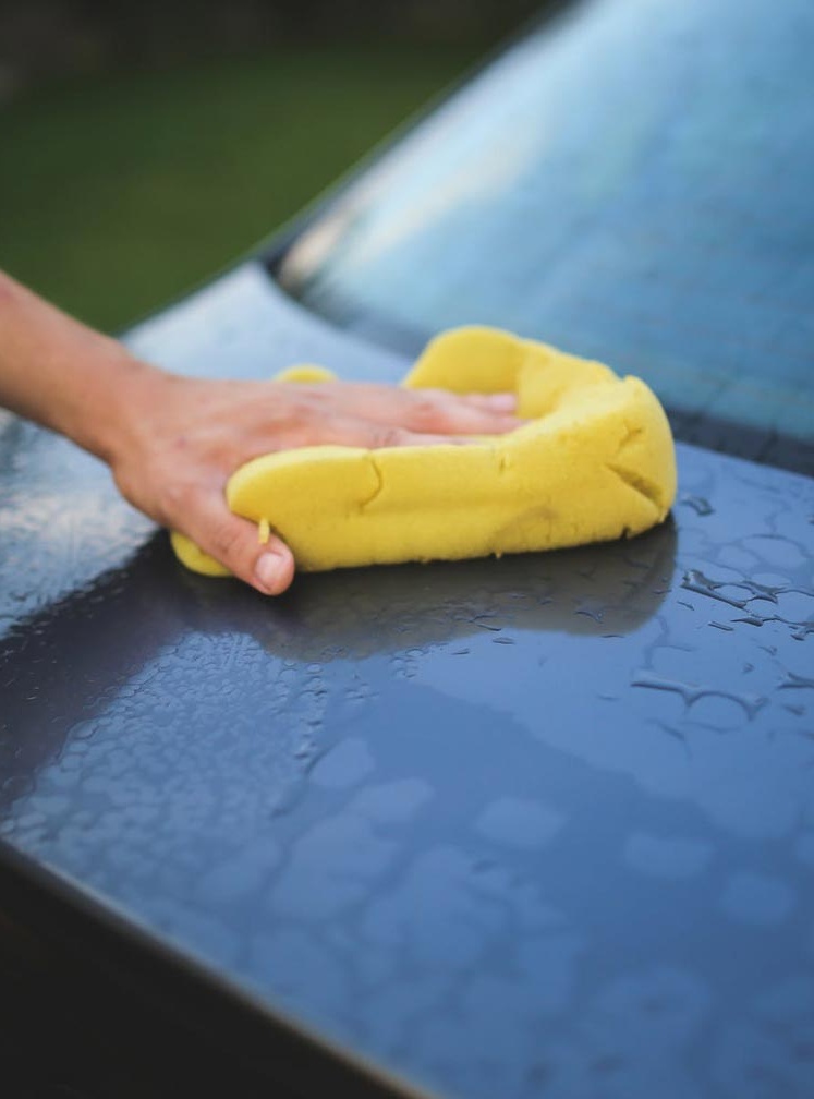Como evitar que os mosquitos estraguem o carro Como evitar que os mosquitos estraguem o carro